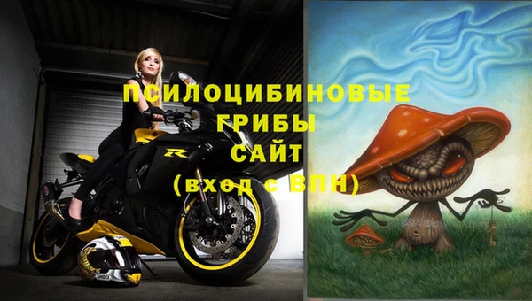 марки lsd Аркадак