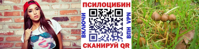 Галлюциногенные грибы ЛСД Макушино